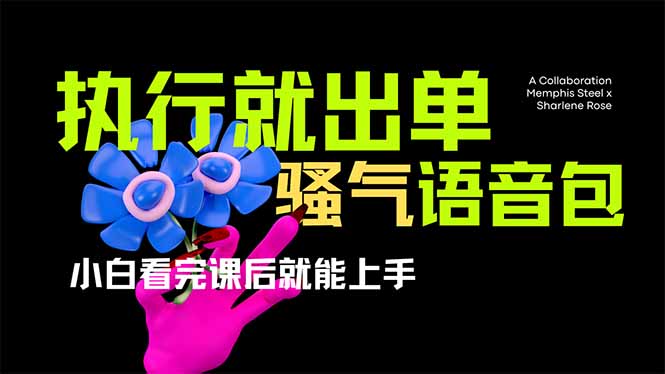 爆火全网的开车导航骚气语音包,只要执行就出单,小白看完课程就能实操…-天娱网创