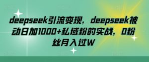 deepseek引流变现，deepseek被动日加1000+私域粉的实战，0粉丝月入过W-天娱网创