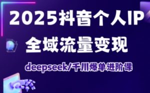 2025抖音个人IP全域流量变现进阶课，deepseek千川爆单进阶课-天娱网创