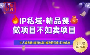2025年“IP私域·密训精品课”，日赚3000+小白避坑年赚百万，暴力引流...-天娱网创