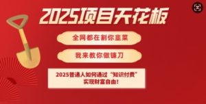 2025项目天花板普通人如何通过知识付费，实现财F自由【揭秘】-天娱网创