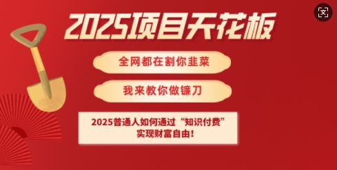 2025项目天花板普通人如何通过知识付费,实现财F自由【揭秘】-天娱网创
