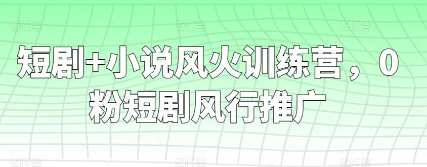 短剧+小说风火训练营，0粉短剧风行推广-天娱网创