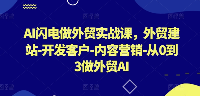 AI闪电做外贸实战课，​外贸建站-开发客户-内容营销-从0到3做外贸AI(更新)-天娱网创