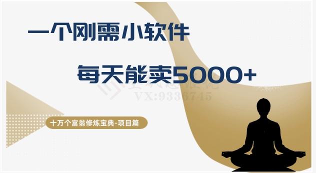 十万个富翁修炼宝典之17.一个刚需小软件，每天能卖5000+-天娱网创