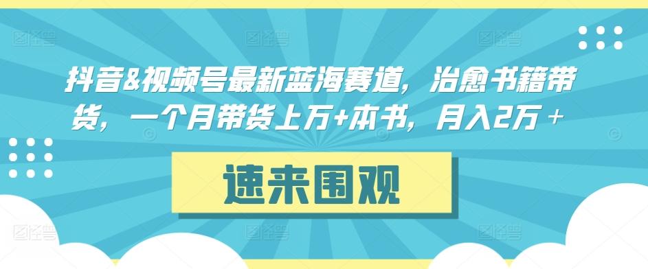 抖音&视频号最新蓝海赛道，治愈书籍带货，一个月带货上万+本书，月入2万＋【揭秘】-天娱网创