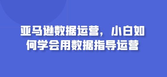亚马逊数据运营，小白如何学会用数据指导运营-天娱网创
