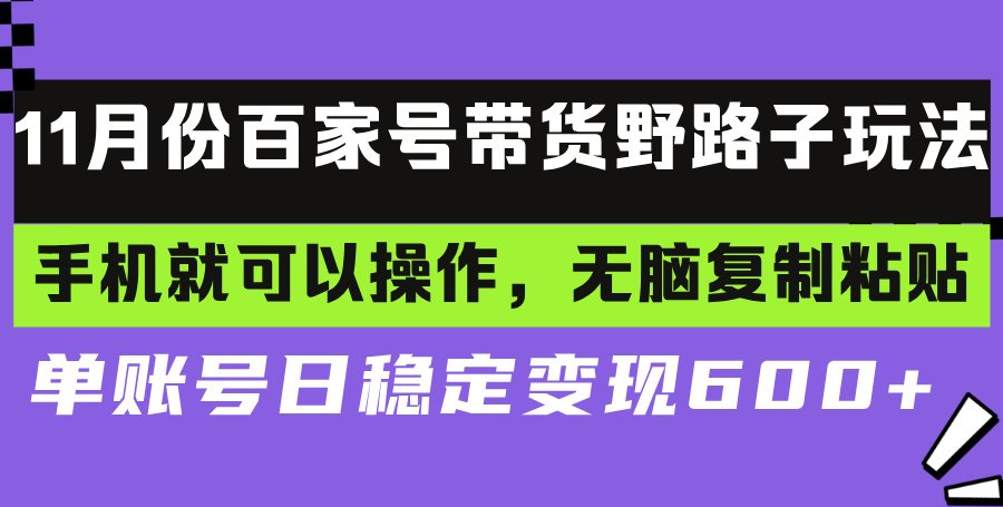 百家号带货野路子玩法 手机就可以操作，无脑复制粘贴 单账号日稳定变现...-天娱网创