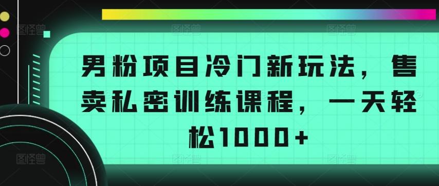 男粉项目冷门新玩法，售卖私密训练课程，一天轻松1000+【揭秘】-天娱网创