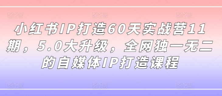 小红书IP打造60天实战营11期，5.0大升级，全网独一无二的自媒体IP打造课程-天娱网创
