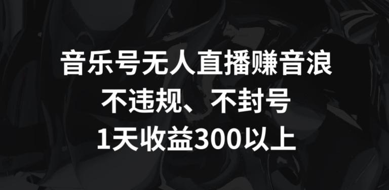 音乐号无人直播赚音浪，不违规、不封号，1天收益300+【揭秘】-天娱网创