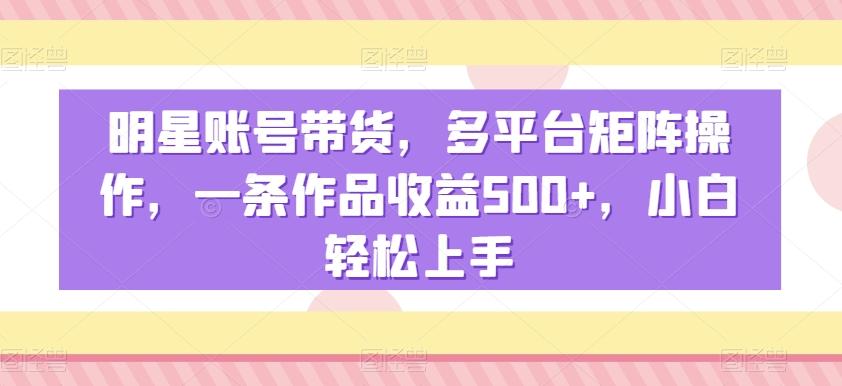 明星账号带货，多平台矩阵操作，一条作品收益500+，小白轻松上手【揭秘】-天娱网创