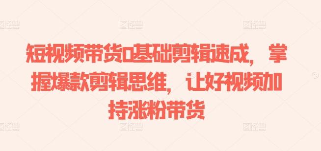 短视频带货0基础剪辑速成，掌握爆款剪辑思维，让好视频加持涨粉带货-天娱网创