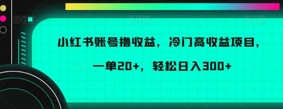 小红书账号撸收益，冷门高收益项目，一单20+，轻松日入300+【揭秘】-天娱网创