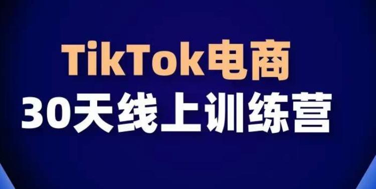 TikTok电商带货30天线上课，不可错过的全球流量洼地！-天娱网创
