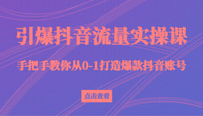 引爆抖音流量实操课，手把手教你从0-1打造爆款抖音账号(27节课)-天娱网创
