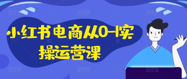 小红书电商从0-1实操运营课，小红书手机实操小红书/IP和私域课/小红书电商电脑实操板块等-天娱网创