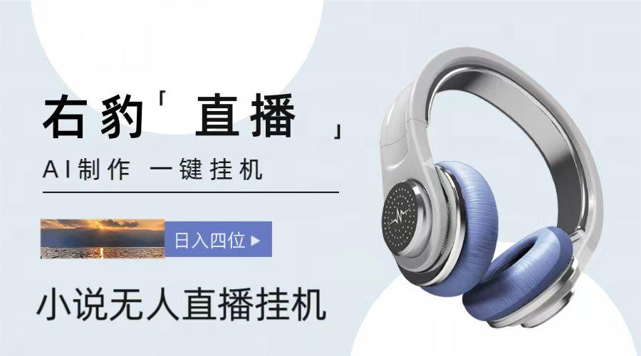 右豹小说无人直播挂机吸金项目,简单易行收益稳定, 月入1000+-天娱网创