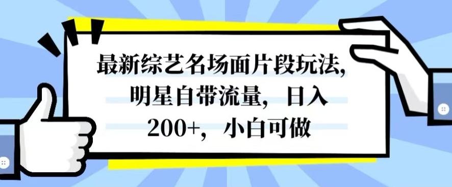 最新综艺名场面片段玩法，明星自带流量，日入200+，小白可做【揭秘】-天娱网创