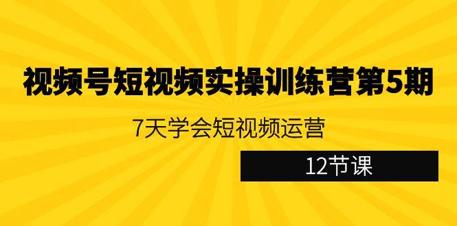 视频号短视频实操训练营第5期：7天学会短视频运营(12节课)-天娱网创