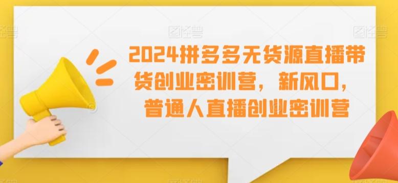 2024拼多多无货源直播带货创业密训营，新风口，普通人直播创业密训营-天娱网创
