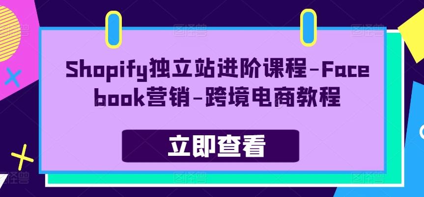 Shopify独立站进阶课程-Facebook营销-跨境电商教程-天娱网创