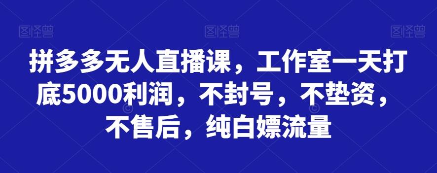 拼多多无人直播课，工作室一天打底5000利润，不封号，不垫资，不售后，纯白嫖流量-天娱网创