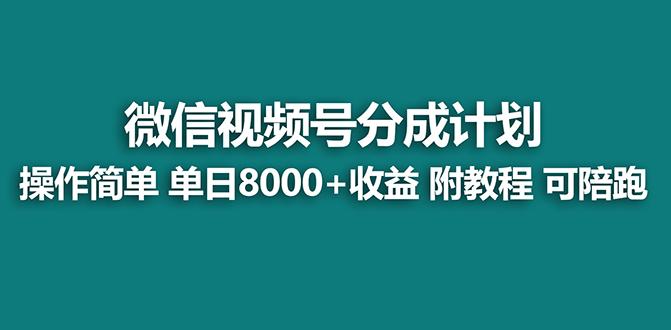 【蓝海项目】视频号分成计划最新玩法，单天收益8000+，附玩法教程，24年...-天娱网创