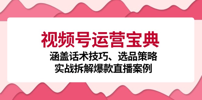 视频号运营宝典：涵盖话术技巧、选品策略、实战拆解爆款直播案例-天娱网创