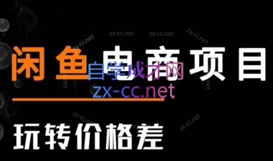 亿创繁星·闲鱼电商项目(玩转价格差)-天娱网创