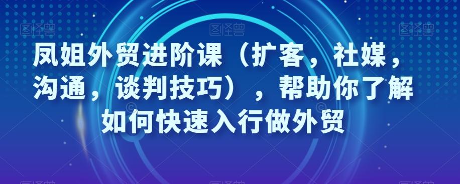 凤姐外贸进阶课（扩客，社媒，沟通，谈判技巧），帮助你了解如何快速入行做外贸-天娱网创