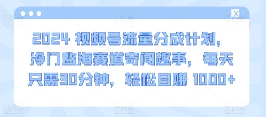 2024视频号流量分成计划，冷门监海赛道奇闻趣事，每天只需30分钟，轻松目赚 1000+【揭秘】-天娱网创
