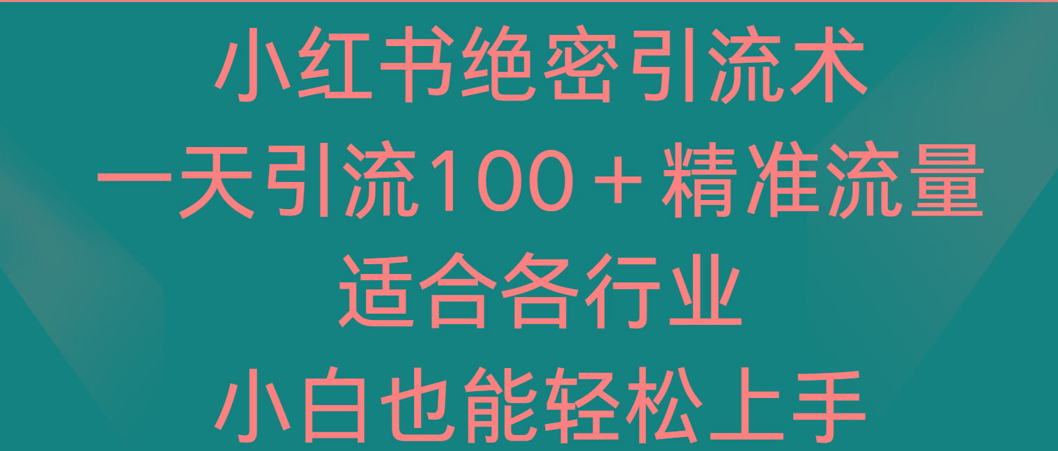 小红书绝密引流术，一天引流100＋精准流量，适合各个行业，小白也能轻松上手-天娱网创