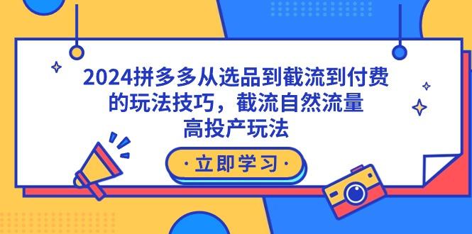2024拼多多从选品到截流到付费的玩法技巧，截流自然流量玩法，高投产玩法-天娱网创