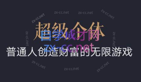 超级个体·普通人创造财富的无限游戏-天娱网创