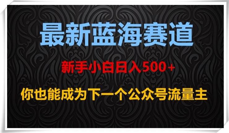 最新蓝海赛道，新手小白日入500+，你也能成为下一个公众号流量主【揭秘】-天娱网创