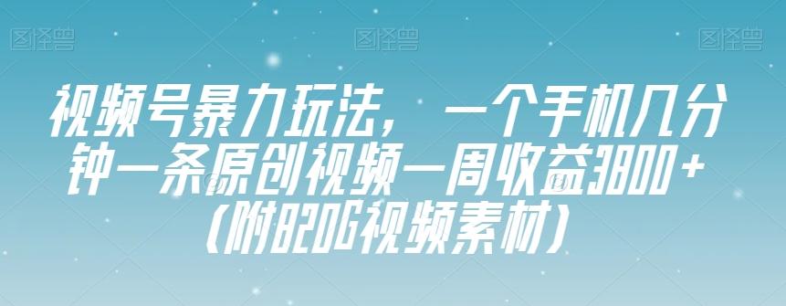 视频号暴力玩法，一个手机几分钟一条原创视频一周收益3800+（附820G视频素材）-天娱网创