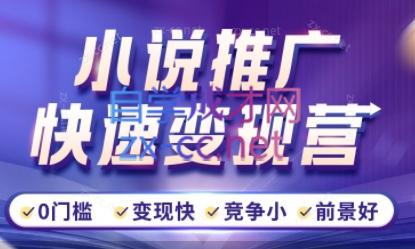 洲洲老师·小说推广快速变现营-天娱网创