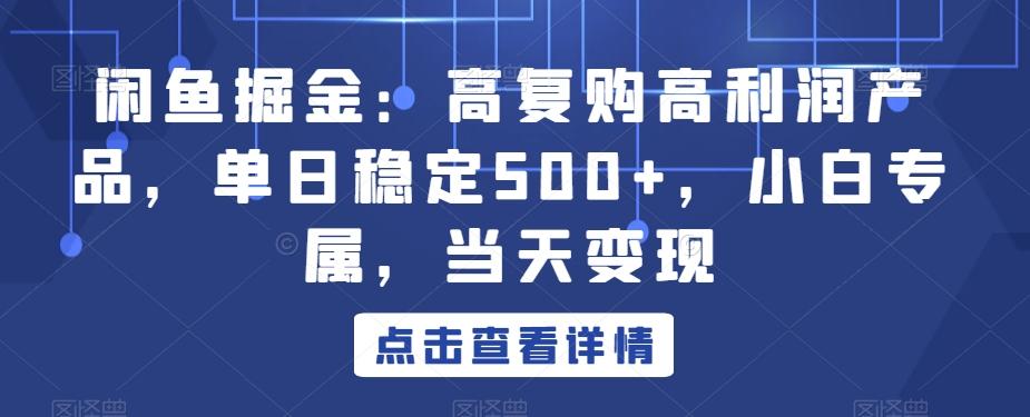 闲鱼掘金：高复购高利润产品，单日稳定500+，小白专属，当天变现-天娱网创