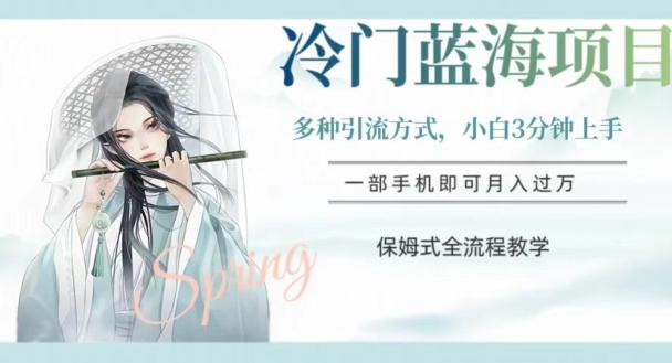冷门蓝海项目，操作简单，小白3分钟上手，多种引流方式，保姆式全流程教学【揭秘】-天娱网创