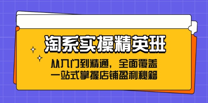 淘系实操精英班：从入门到精通，全面覆盖，一站式掌握店铺盈利秘籍-天娱网创