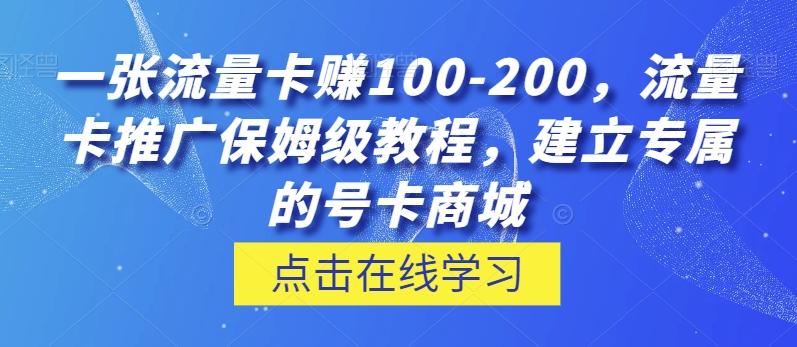 一张流量卡赚100-200，流量卡推广保姆级教程，建立专属的号卡商城-天娱网创