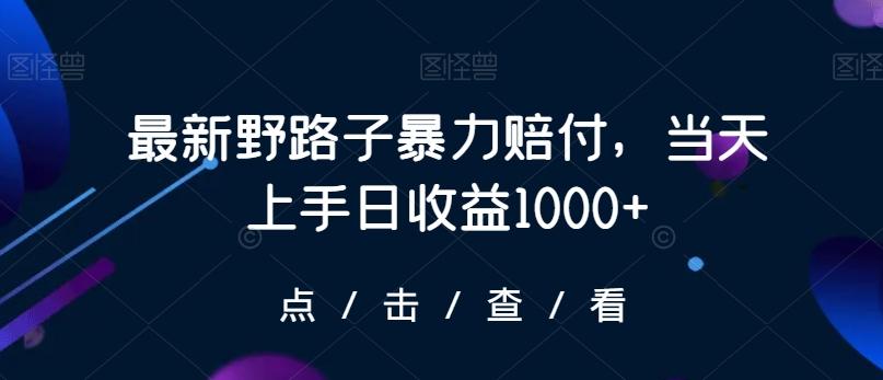 最新野路子暴力赔付，当天上手日收益1000+【仅揭秘】-天娱网创