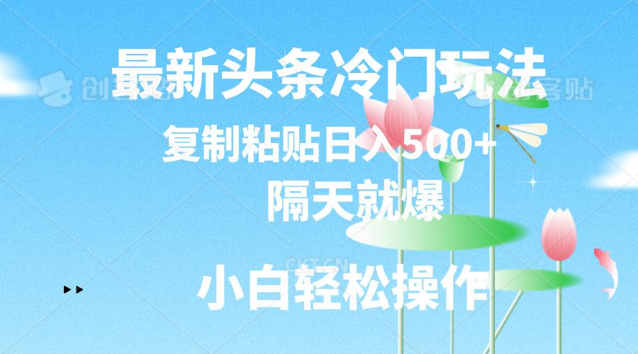最新头条冷门玩法，隔天就爆，复制粘贴日入500+-天娱网创