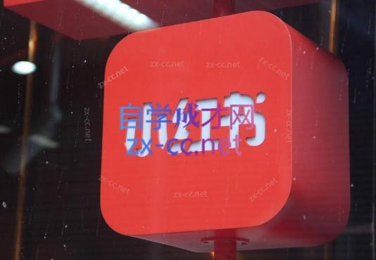 伊伊·红薯【高级班】运营课-天娱网创