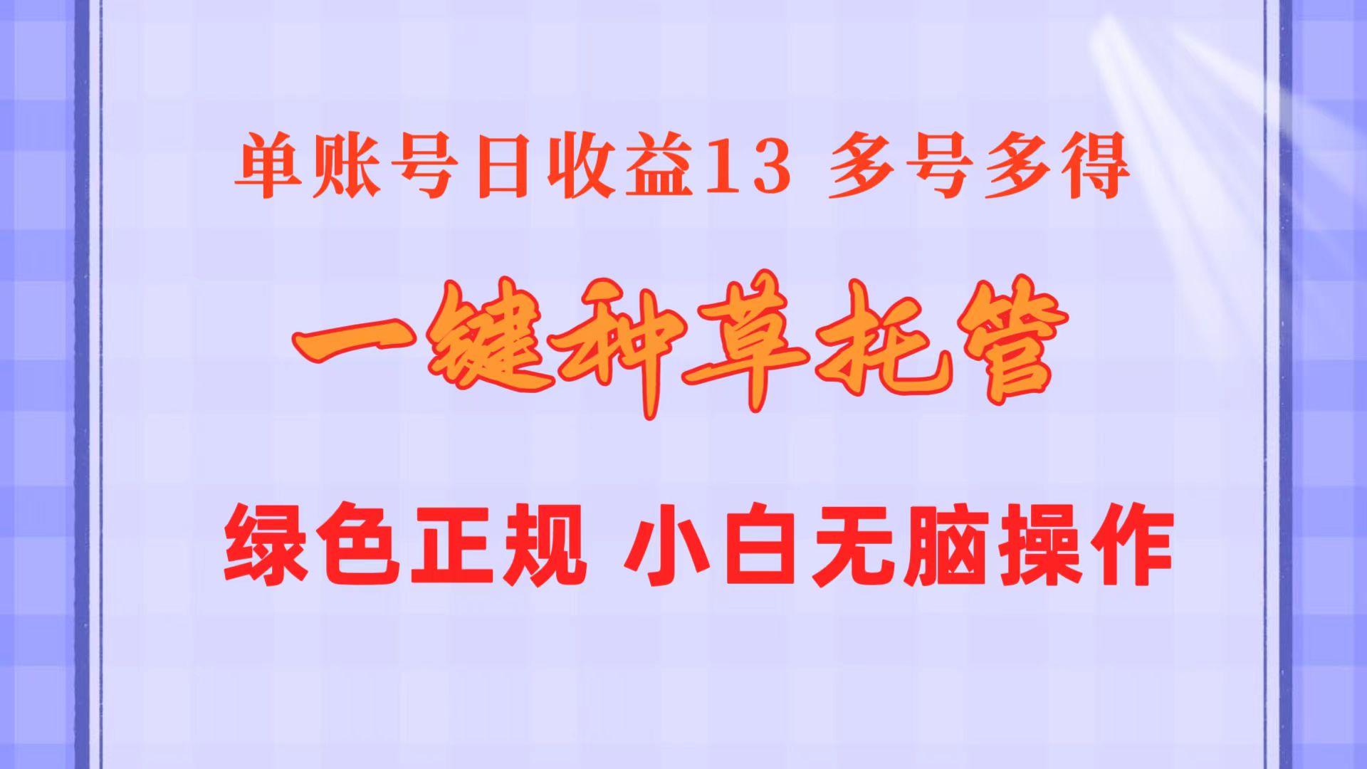 一键种草托管 单账号日收益13元  10个账号一天130  绿色稳定 可无限推广-天娱网创