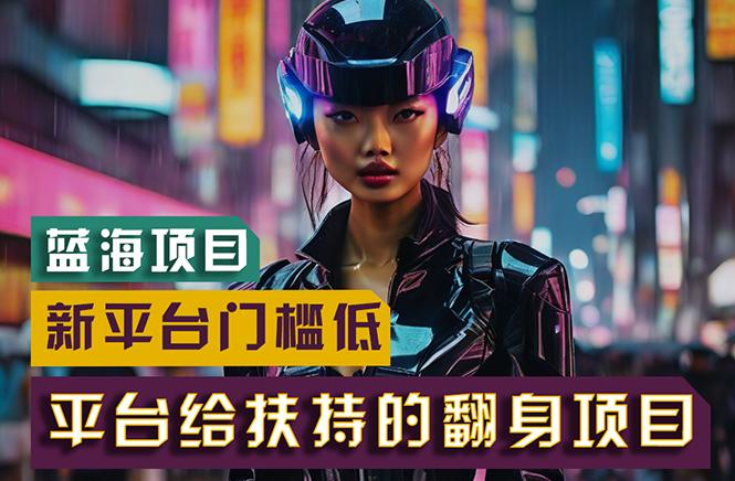 【蓝海项目】新平台无脑搬运，翻身项目 门槛低 小白也能轻松上手 日入500+-天娱网创
