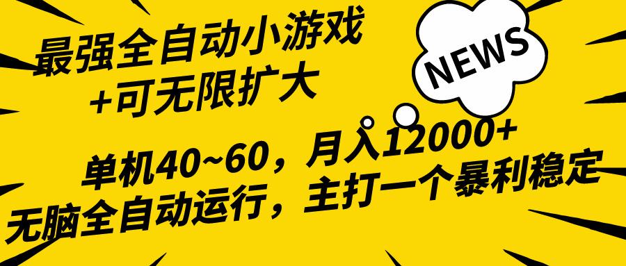 (10046期)2024最新全网独家小游戏全自动，单机40~60,稳定躺赚，小白都能月入过万-天娱网创