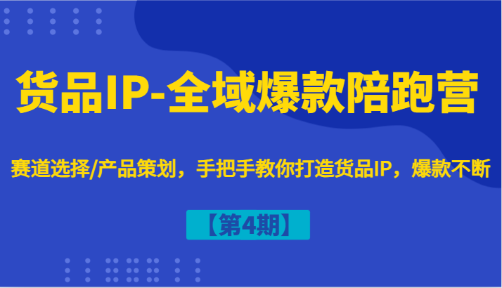 货品IP-全域爆款陪跑营【第4期】赛道选择/产品策划，手把手教你打造货品IP，爆款不断-天娱网创