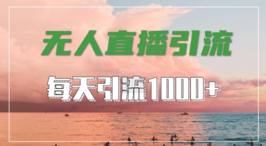 抖音快手视频号全平台通用，无人直播引流法，超暴力引流1000+高质量精准创业粉【揭秘】-天娱网创